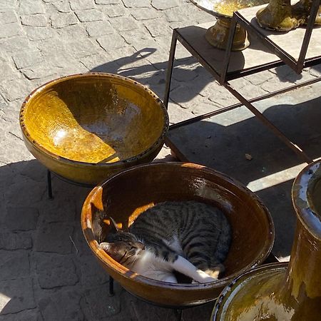 Villa Louisa Piscine Privee Sans Vis A Vis Dyar Shemsi Taroudant Exteriér fotografie