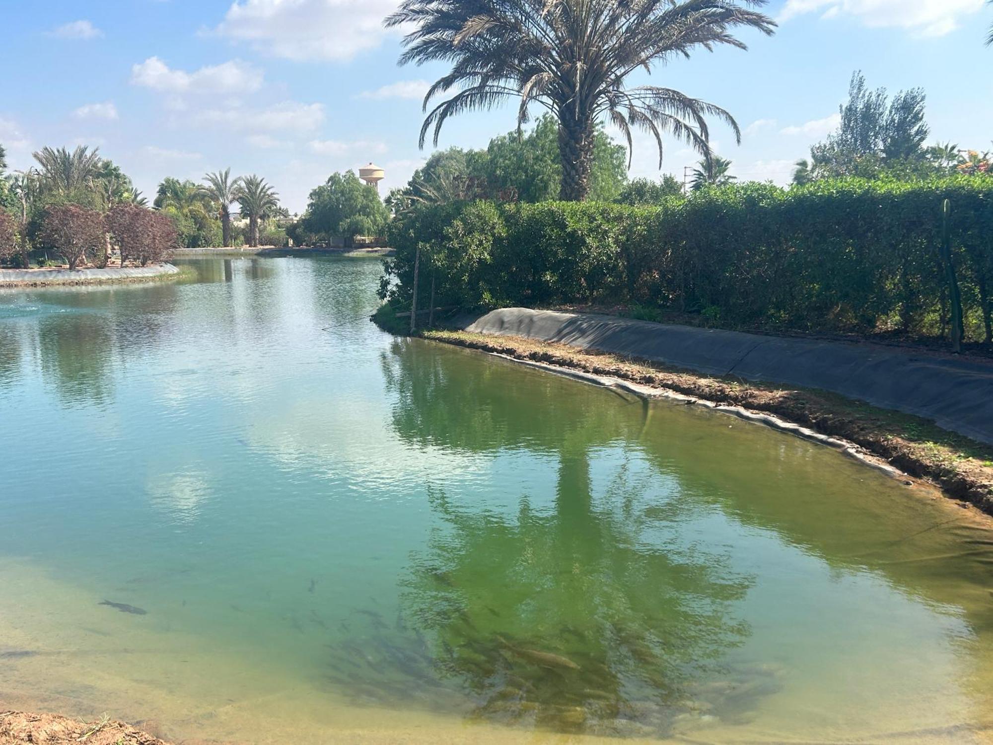 Villa Louisa Piscine Privee Sans Vis A Vis Dyar Shemsi Taroudant Exteriér fotografie
